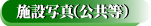 ̎{Hʐ^ЉI